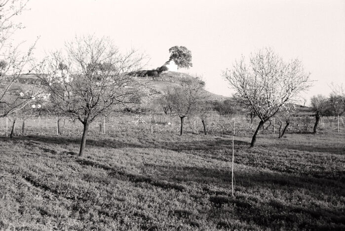 La colline de Paleoekklisies en 1969. La photographie est prise à l’emplacement exact du temple d’Artémis…,